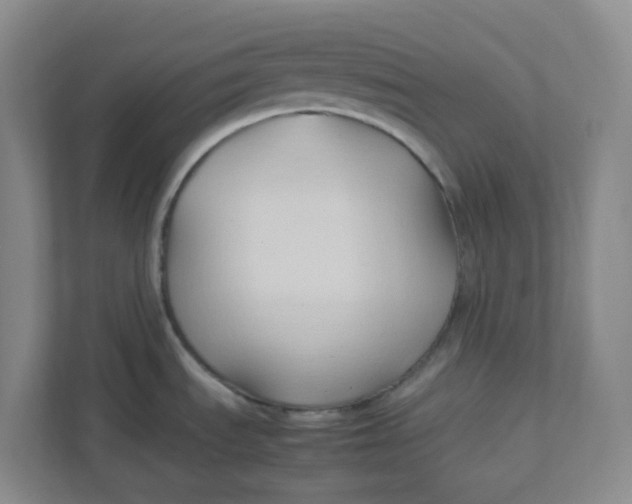 X0000111951535200908101212