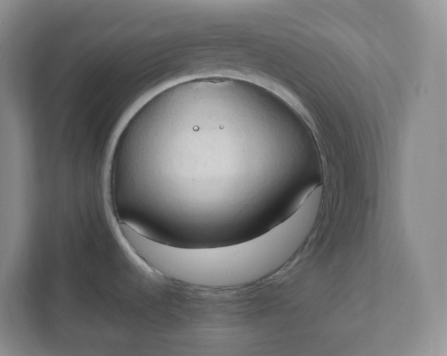X0000111951536200908101212