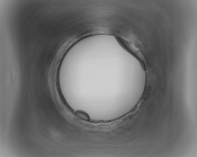 X0000111950001200908171327