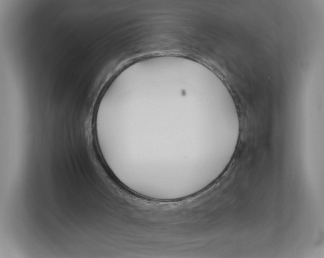 X0000111950002200908171327