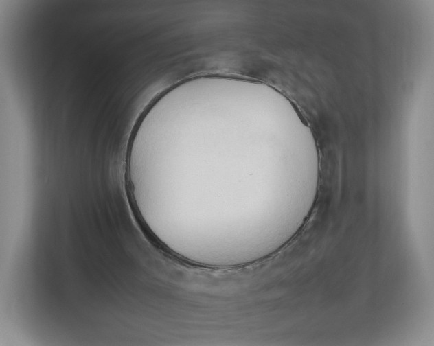 X0000111950003200908171327