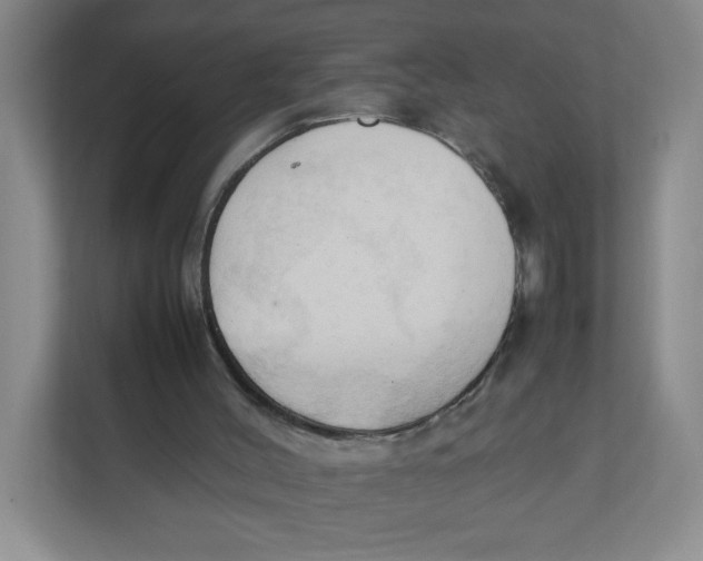 X0000111950004200908171327