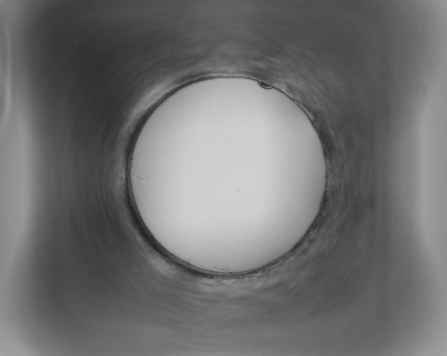 X0000111950005200908171327