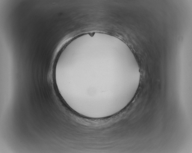 X0000111950006200908171327