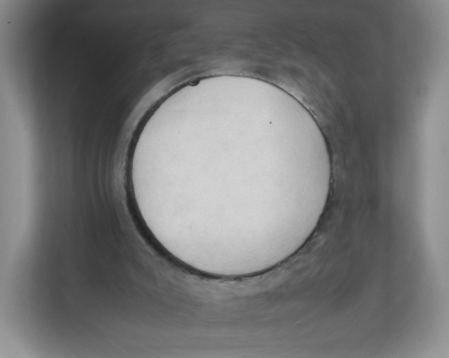 X0000111950007200908171327