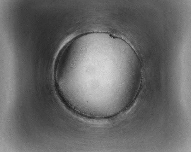 X0000111950008200908171327