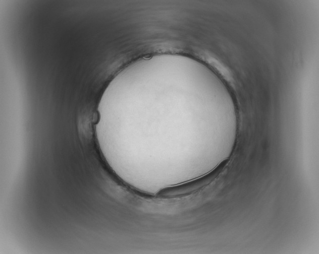 X0000111950009200908171327