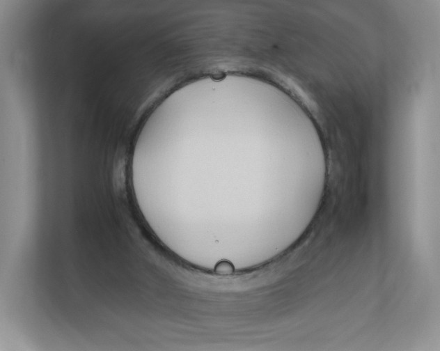X0000111950010200908171327