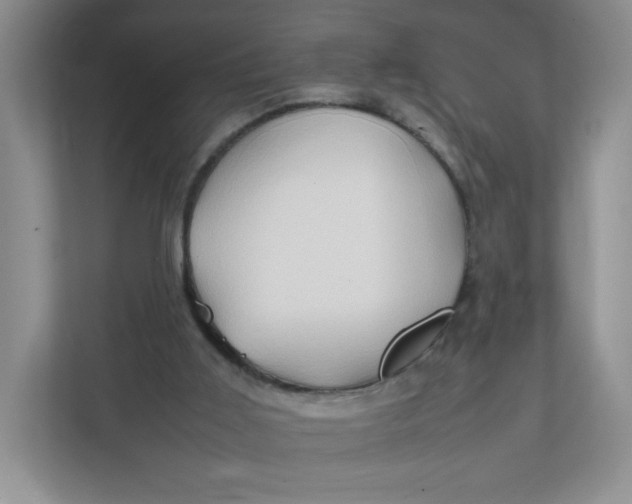X0000111950011200908171327