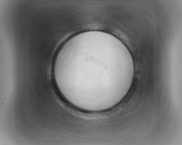 X0000111950012200908171327