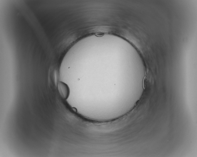 X0000111950013200908171327
