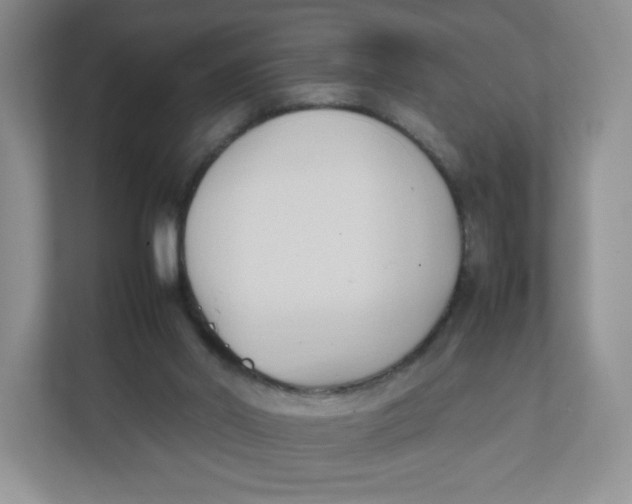 X0000111950014200908171327