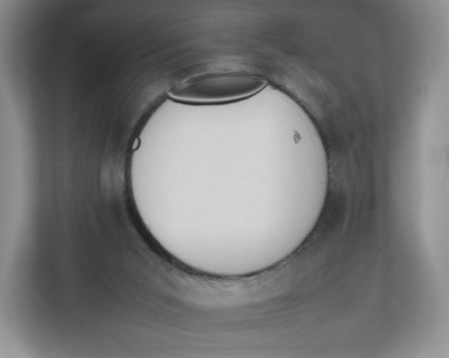 X0000111950015200908171327