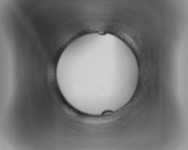 X0000111950017200908171327