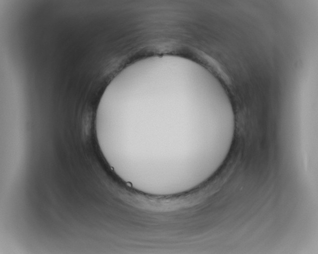 X0000111950018200908171327