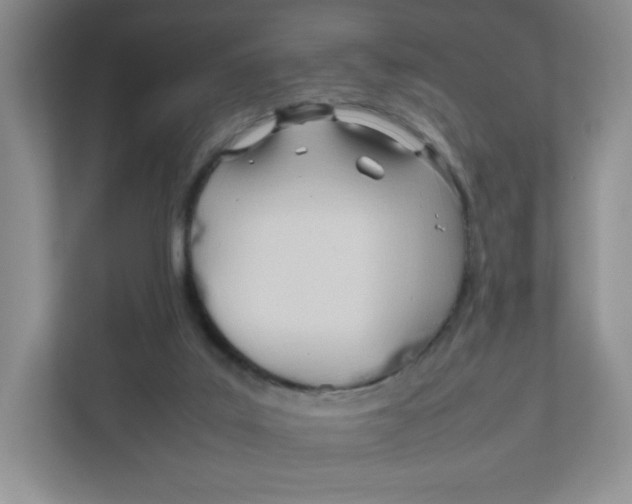 X0000111950019200908171327