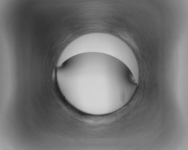 X0000111950021200908171327