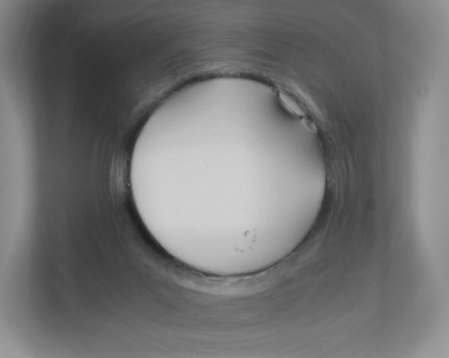 X0000111950023200908171327