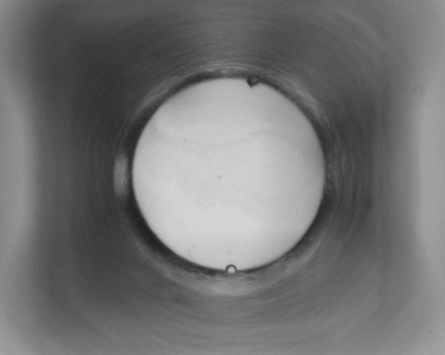 X0000111950024200908171327