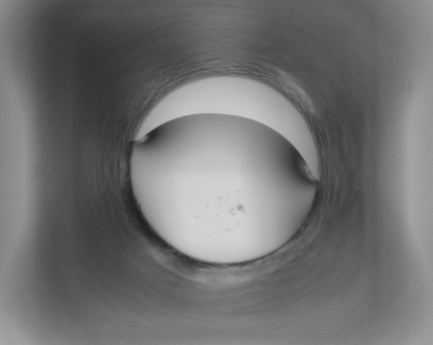 X0000111950025200908171327