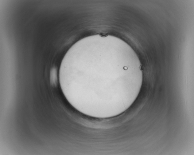 X0000111950028200908171327