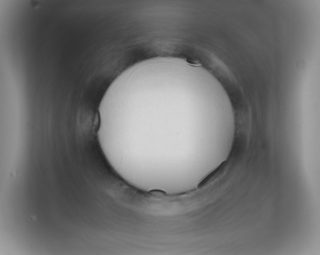 X0000111950029200908171327