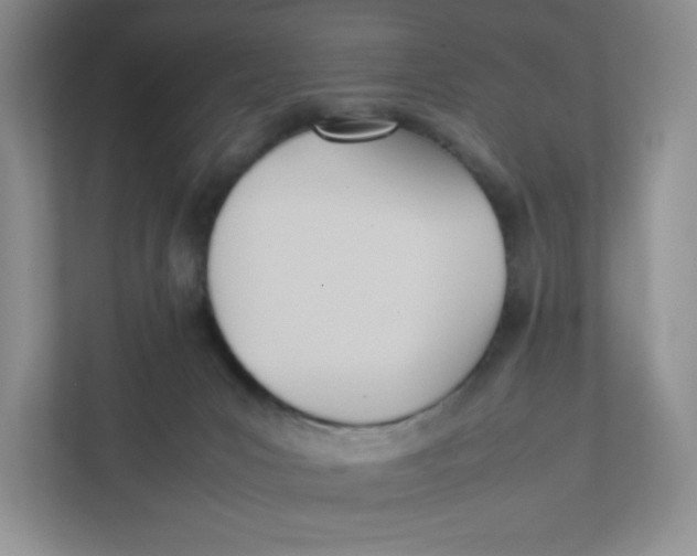 X0000111950031200908171327