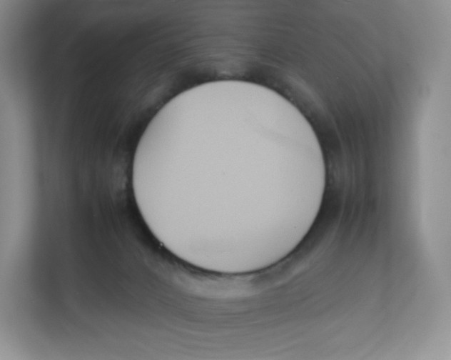 X0000111950032200908171327