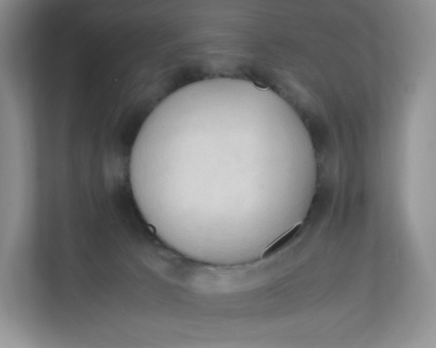 X0000111950033200908171327