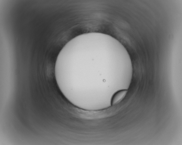 X0000111950034200908171327