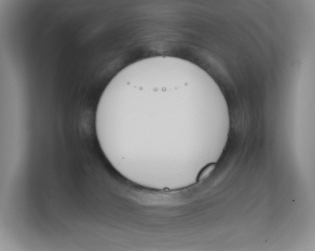 X0000111950036200908171327