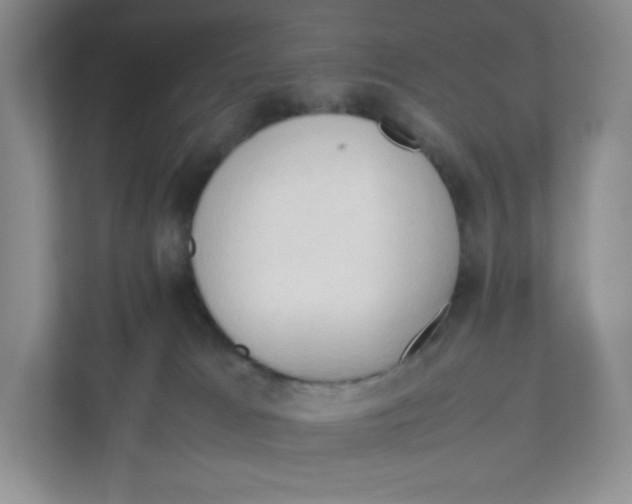 X0000111950037200908171327