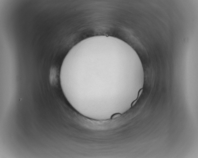 X0000111950038200908171327