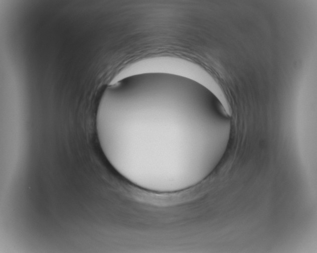 X0000111950039200908171327