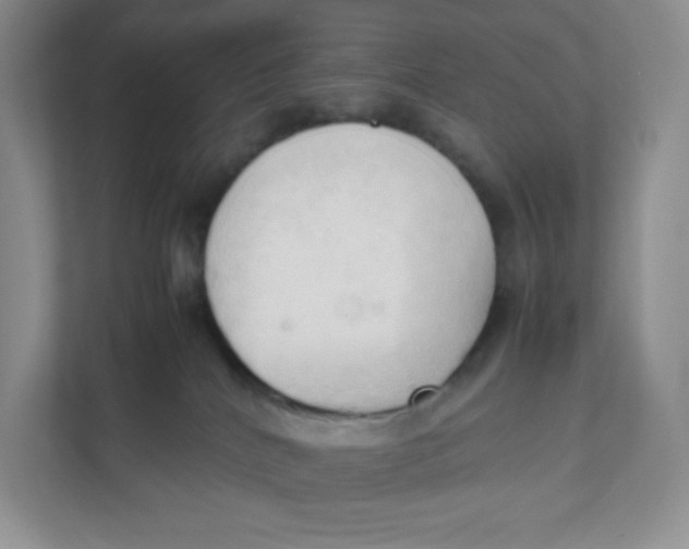 X0000111950040200908171327