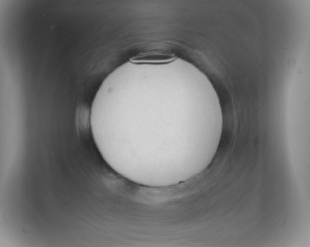 X0000111950041200908171327