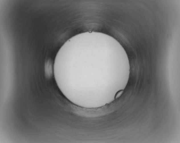 X0000111950042200908171327