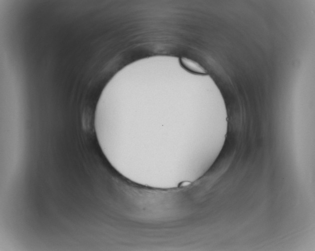 X0000111950044200908171327