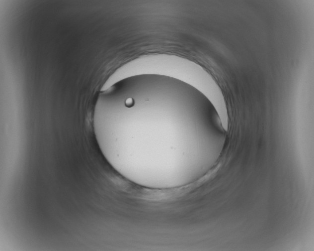 X0000111950045200908171326