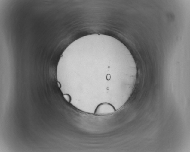X0000111950048200908171326