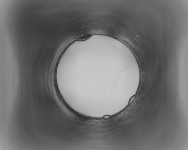 X0000111950049200908171326