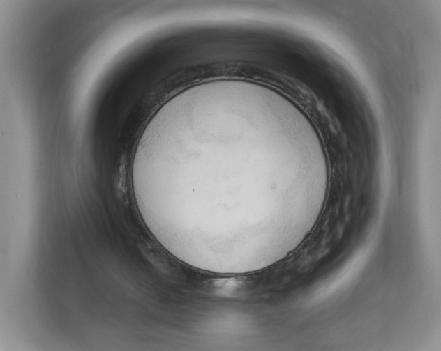 X0000111950050200908171326