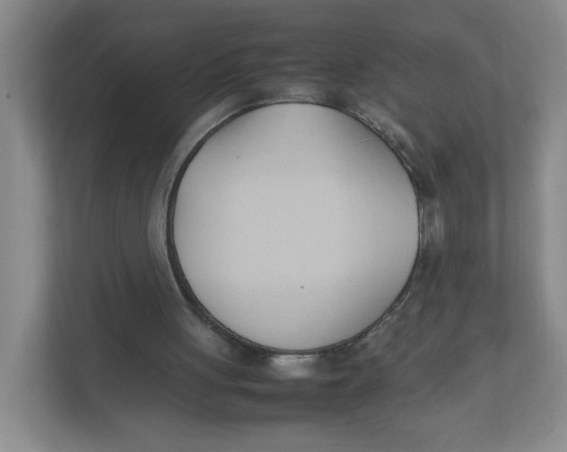 X0000111950051200908171326
