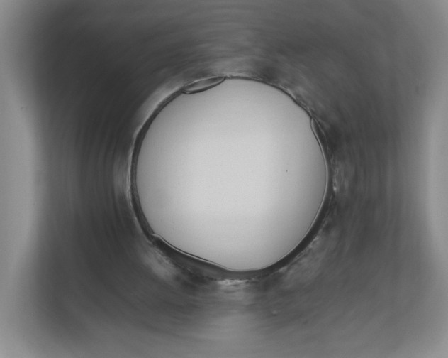 X0000111950052200908171326