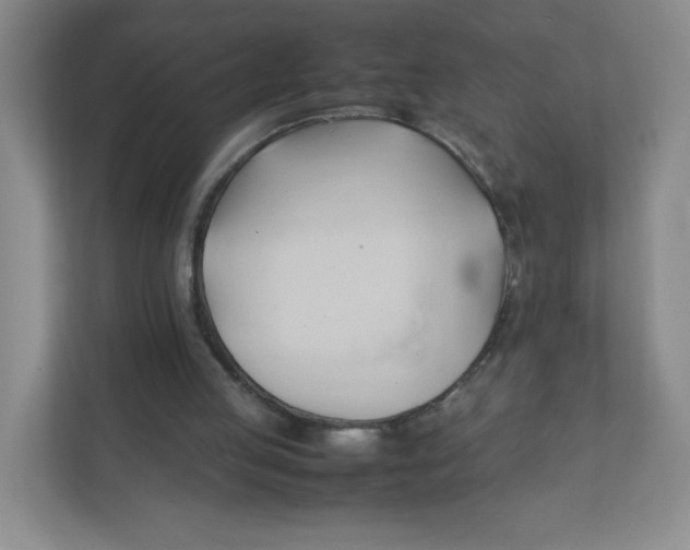X0000111950053200908171326