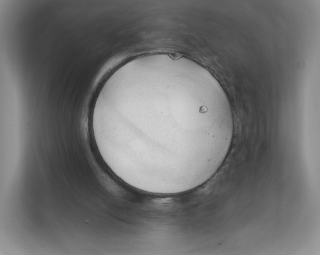X0000111950054200908171326