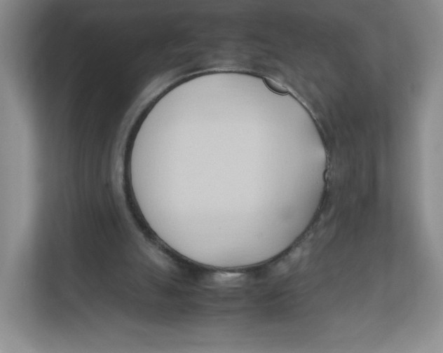 X0000111950055200908171326