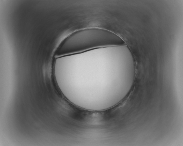 X0000111950056200908171326