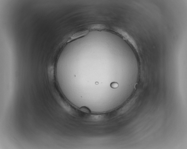 X0000111950057200908171326
