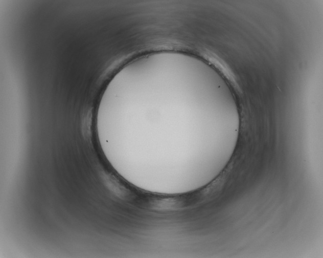 X0000111950058200908171326